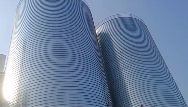 乐山2座混凝土高架卷板仓